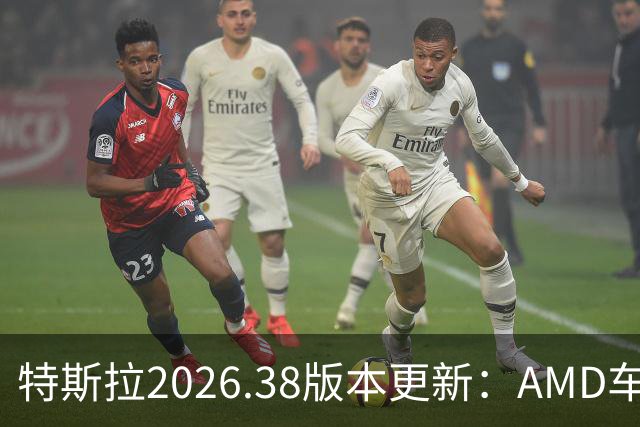特斯拉2026.38版本更新：AMD车型画质获提升，Atom车型仍需耐心等候
